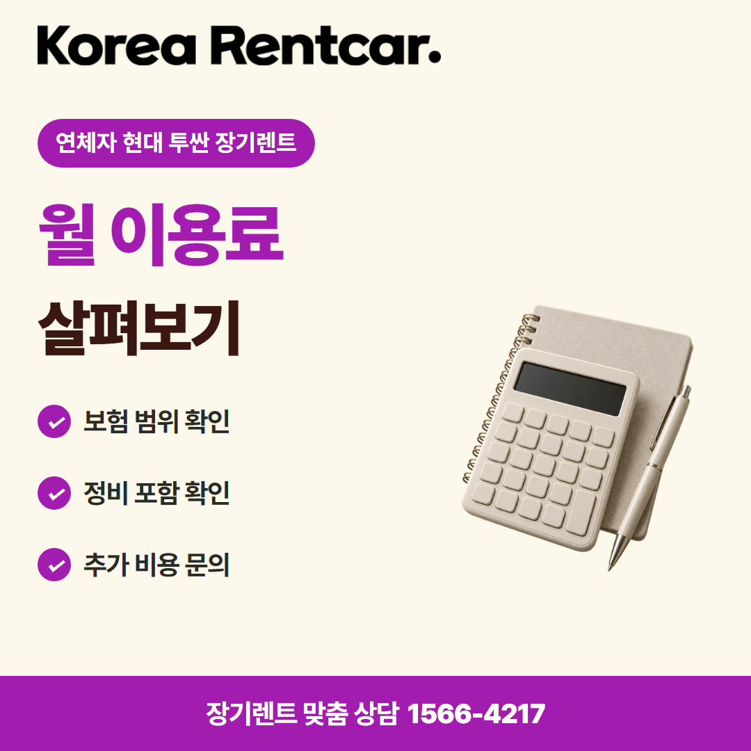 연체자 현대 투싼 장기렌트 비용 비교 카드뉴스